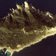 Okinoshima.ik Wimedia Commons